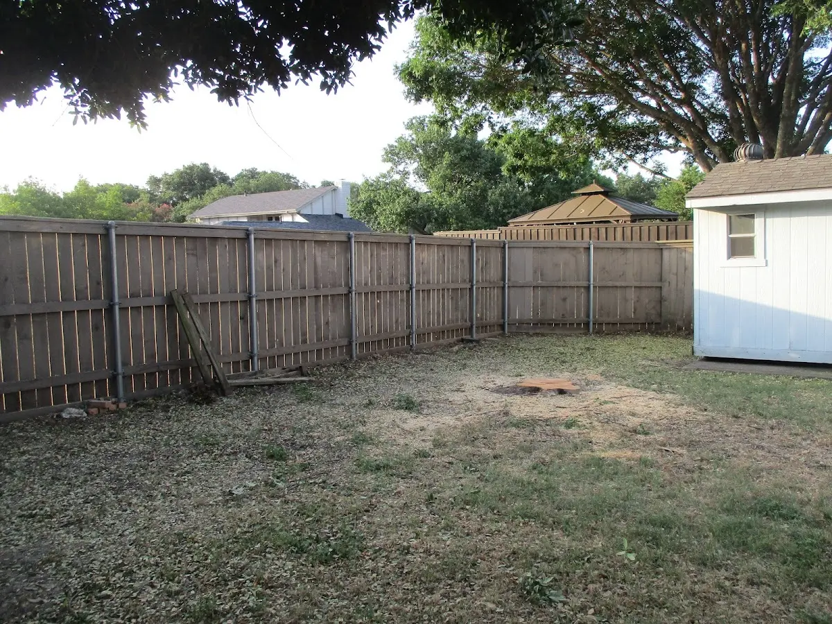 Cleared yard after professional tree removal in Corfu